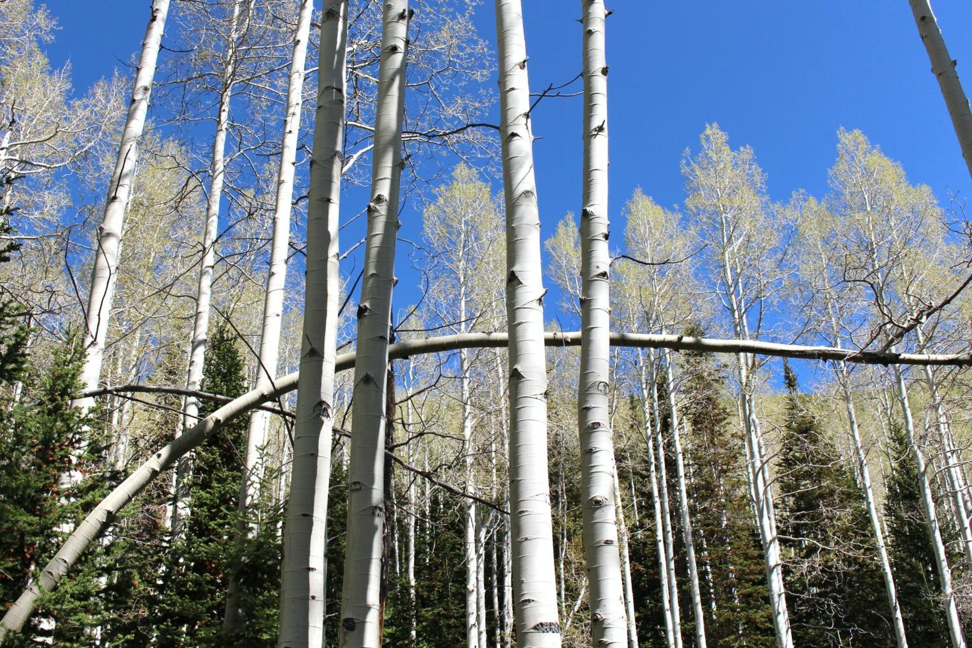 909 Park Ave Home Park City Exteriér fotografie